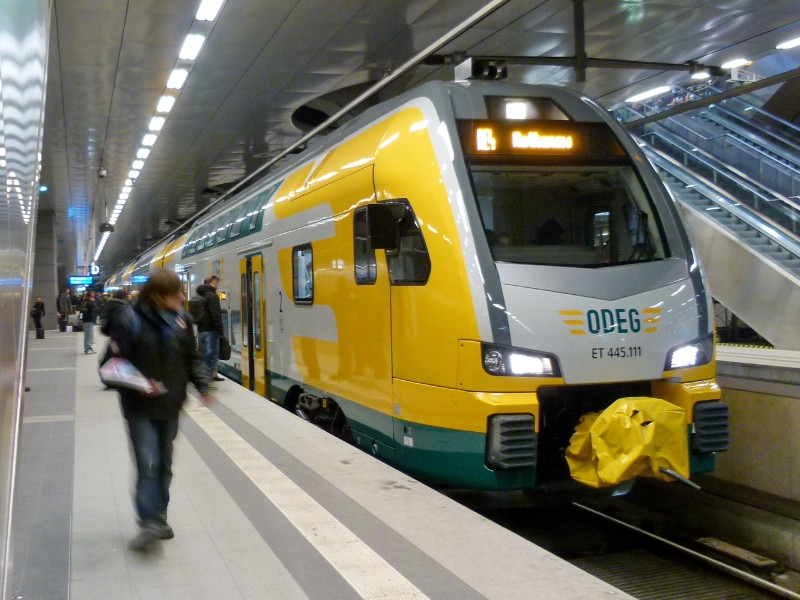 445 111.jpg